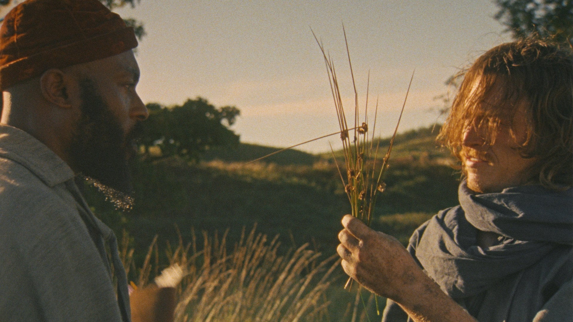 Foto do filme A Colheita