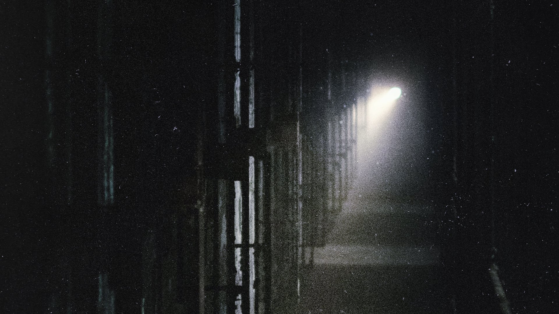 Foto do filme Terror em Shelby Oaks