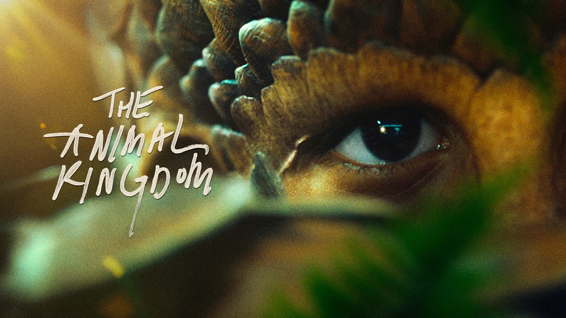 Foto do filme Criaturas Incríveis