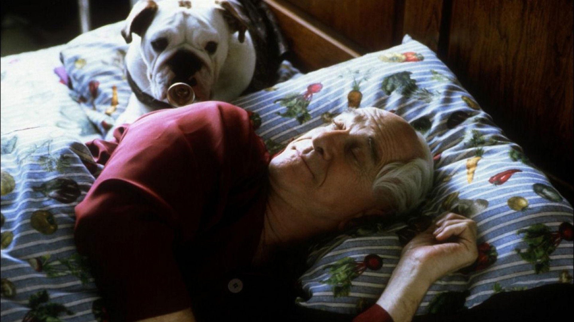 Foto do filme Mr. Magoo