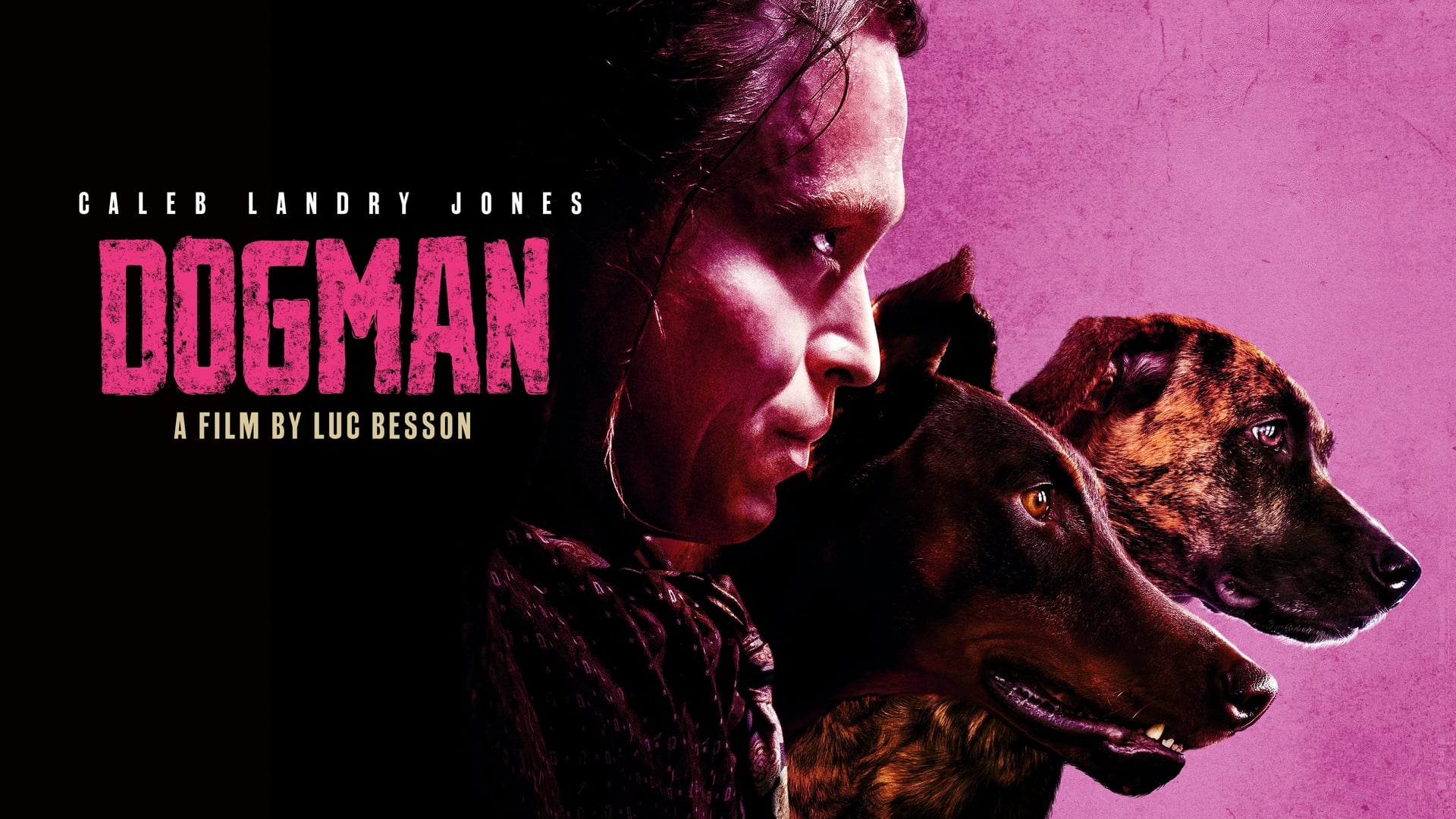 Foto do filme Dogman