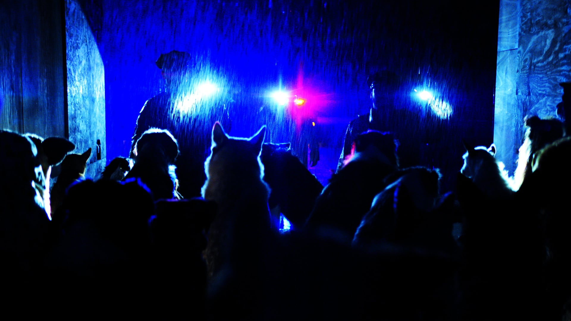 Foto do filme Dogman