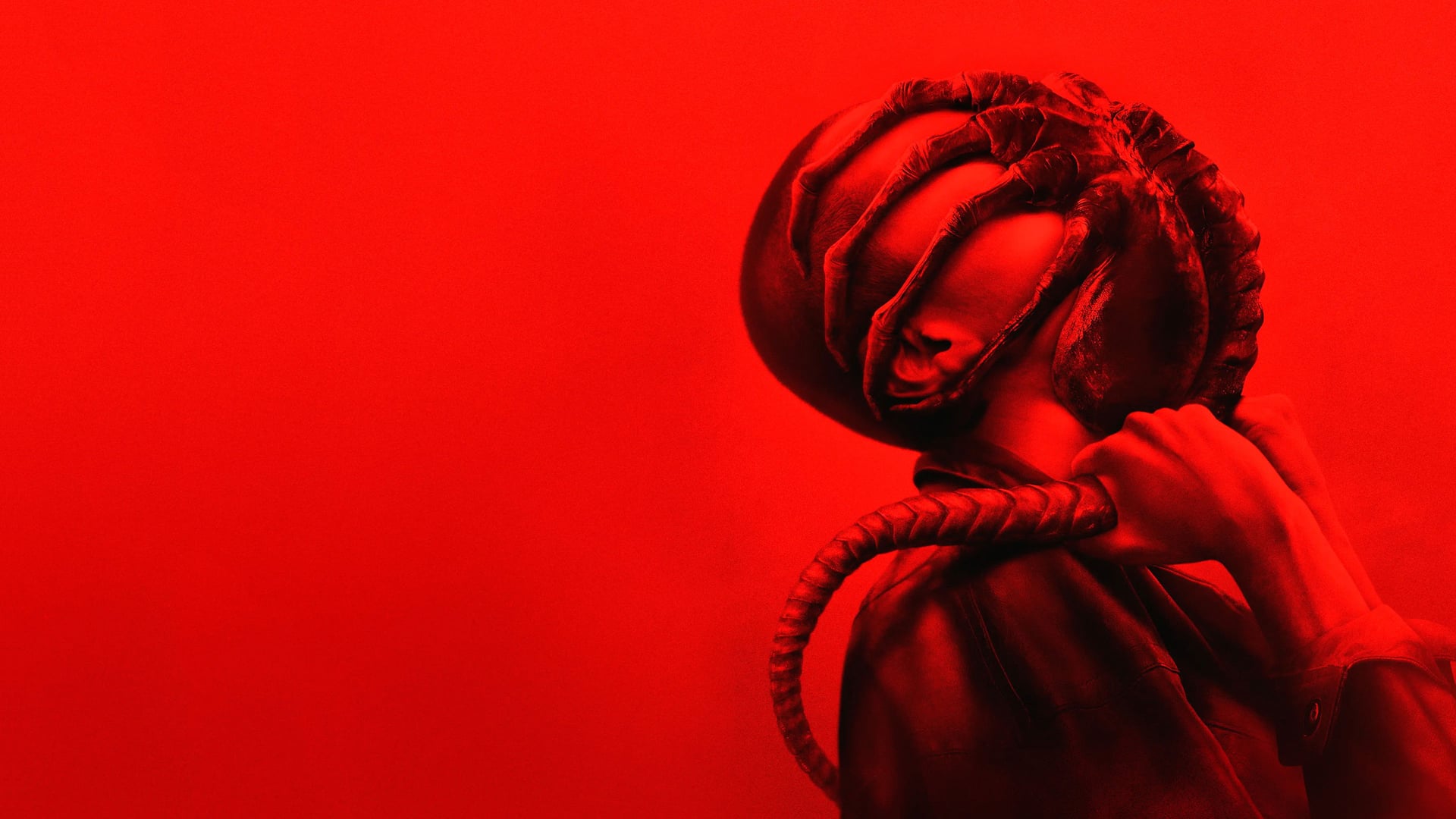 Foto do filme Alien: Romulus