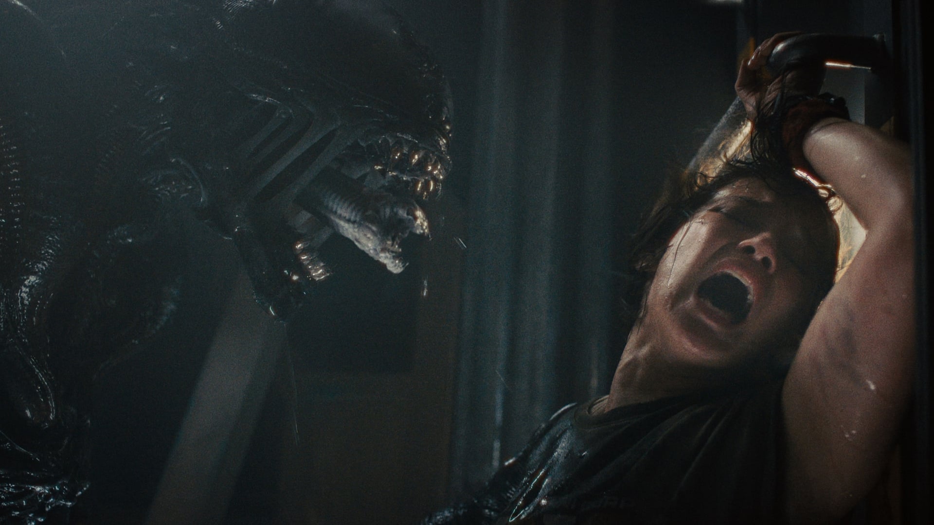 Foto do filme Alien: Romulus