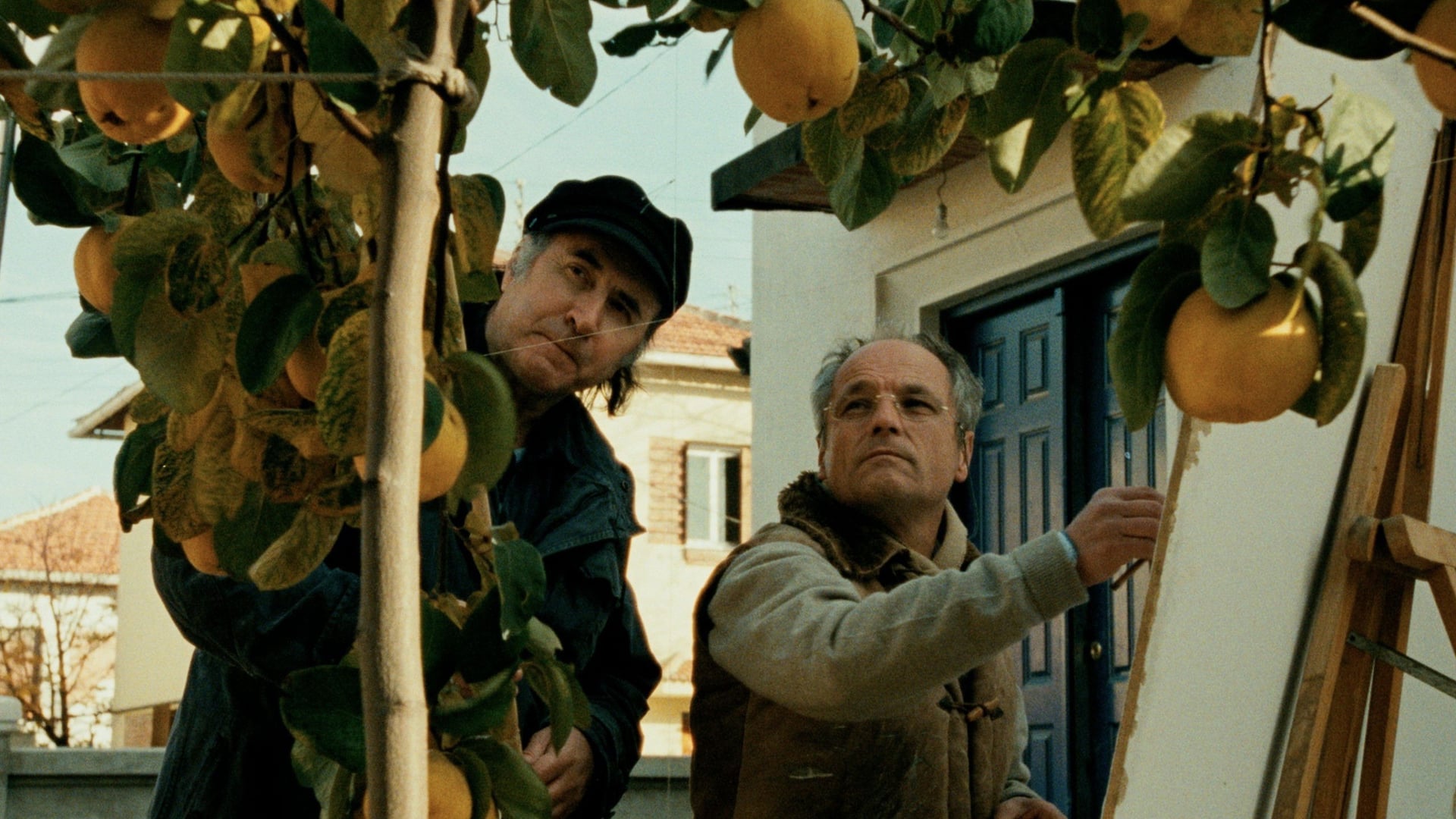 Foto do filme O Sol do Marmelo