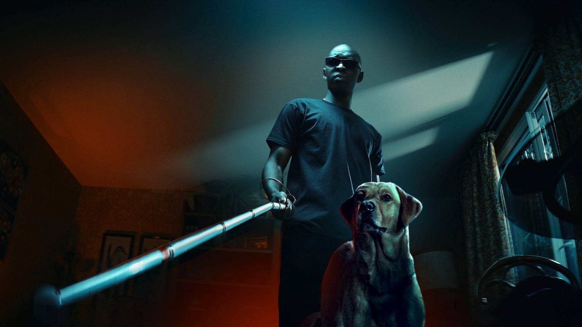 Foto do filme O Rei das Sombras