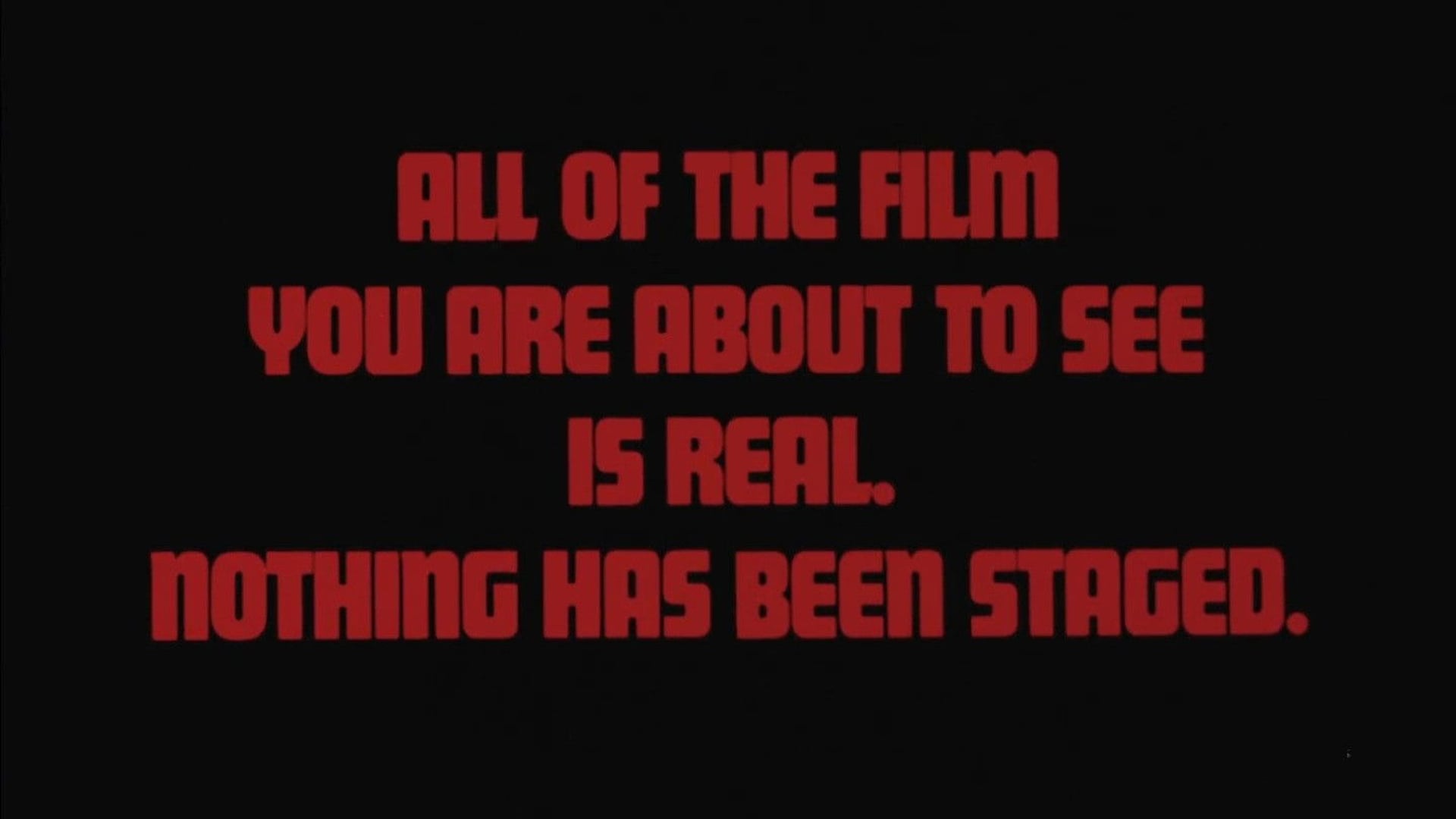 Foto do filme The Killing of America
