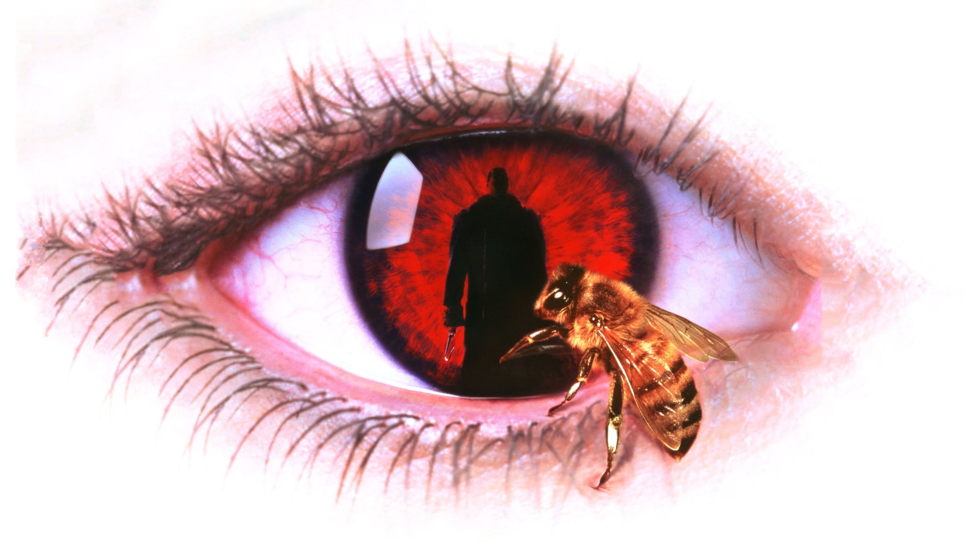 Foto do filme O Mistério de Candyman