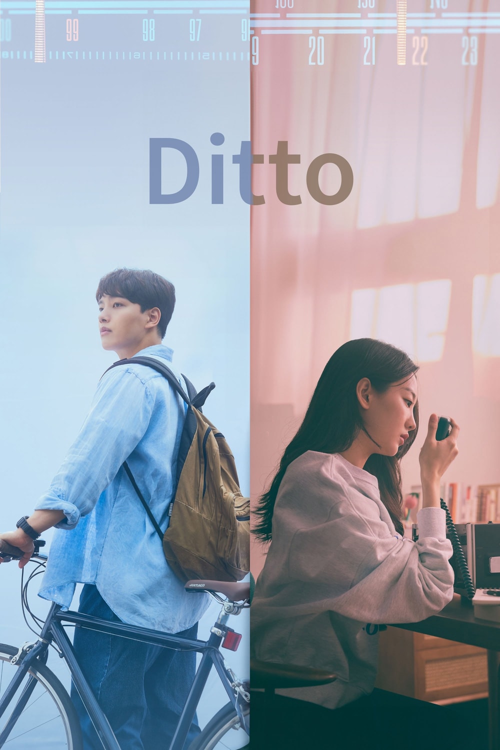 Ditto: Conexões do Amor