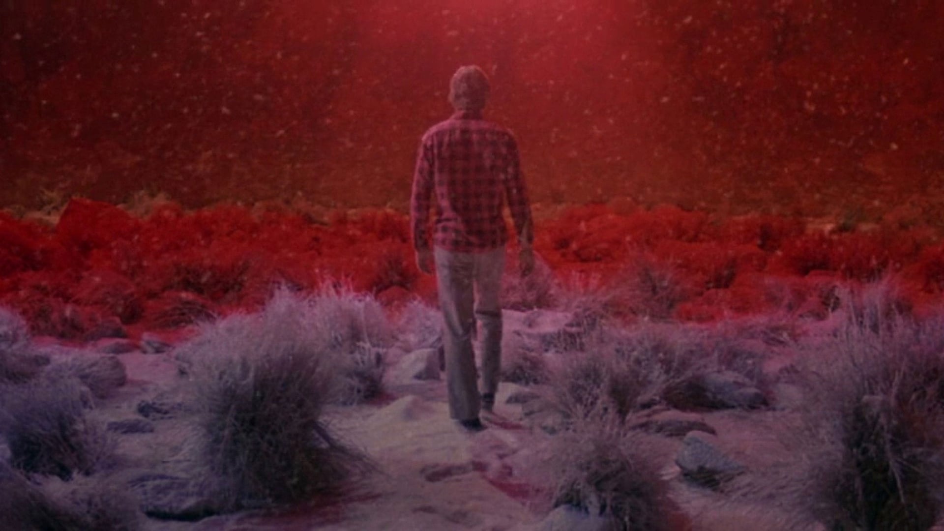 Foto do filme Starman: O Homem das Estrelas