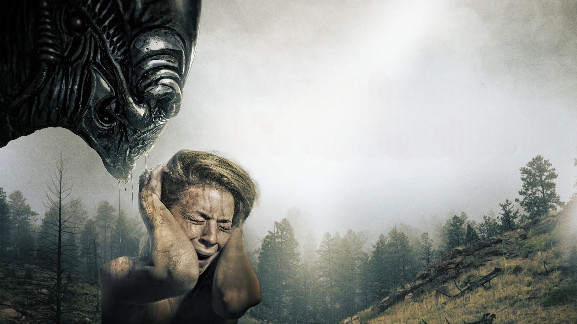 Foto do filme O Predador Alienígena