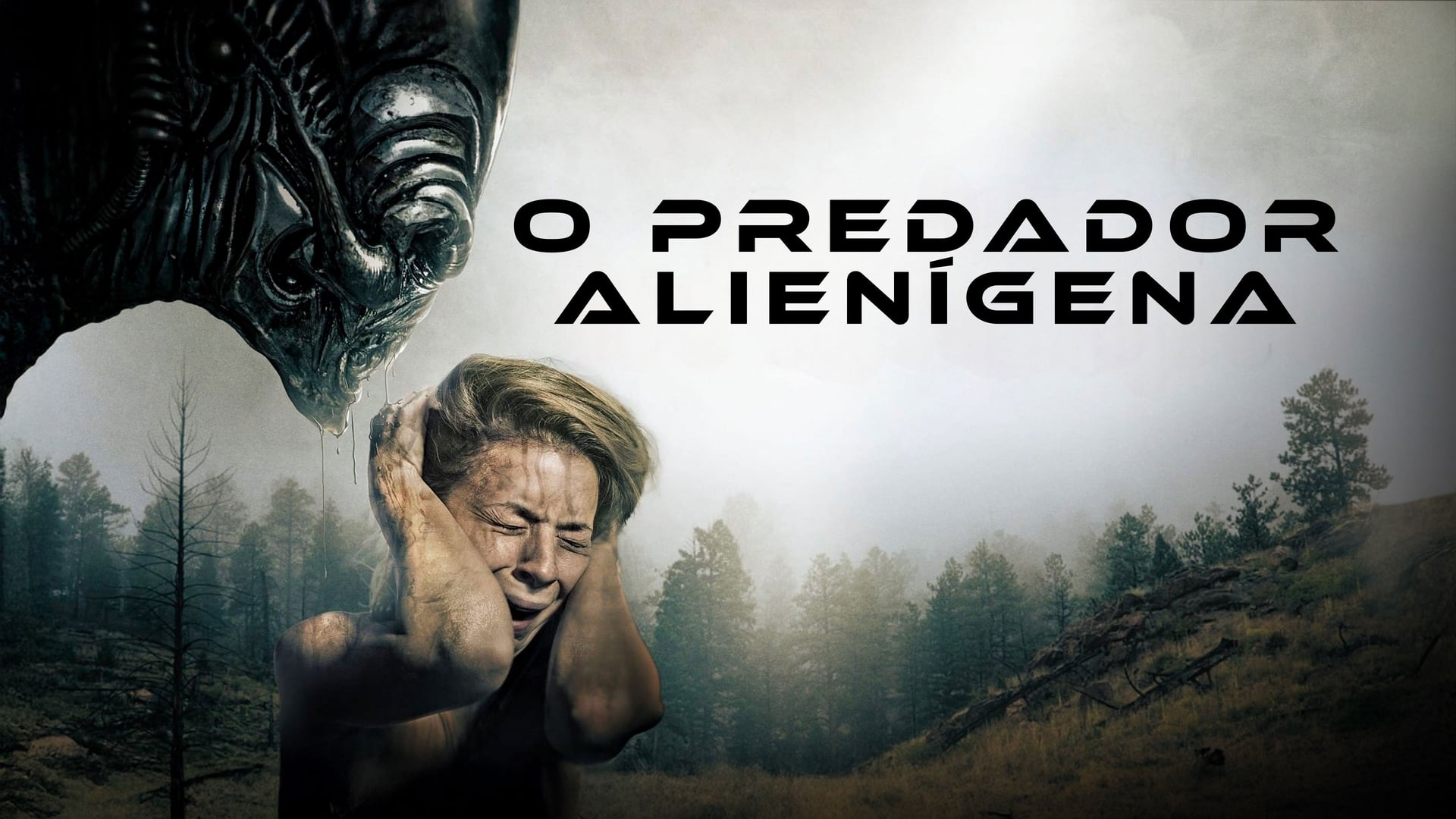 Foto do filme O Predador Alienígena