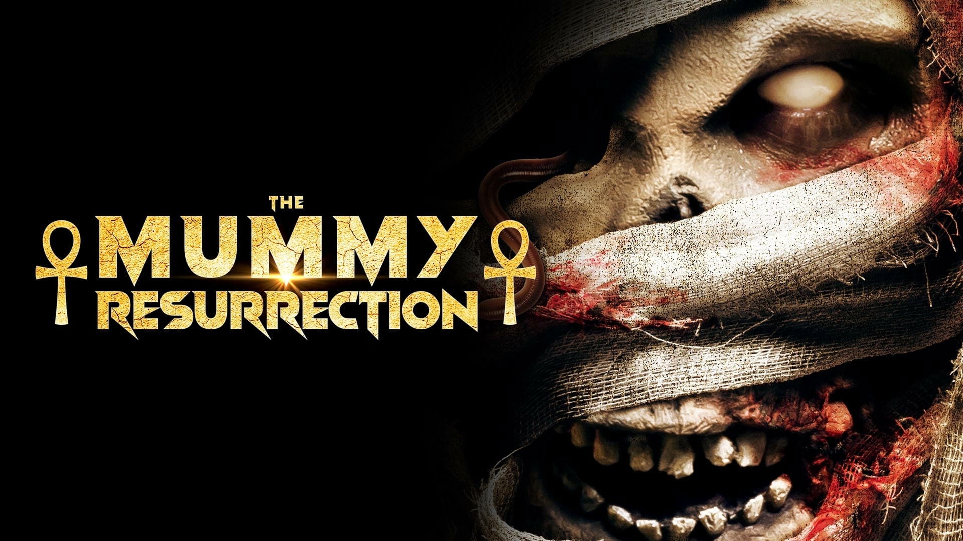 Foto do filme A Ressurreição da Múmia