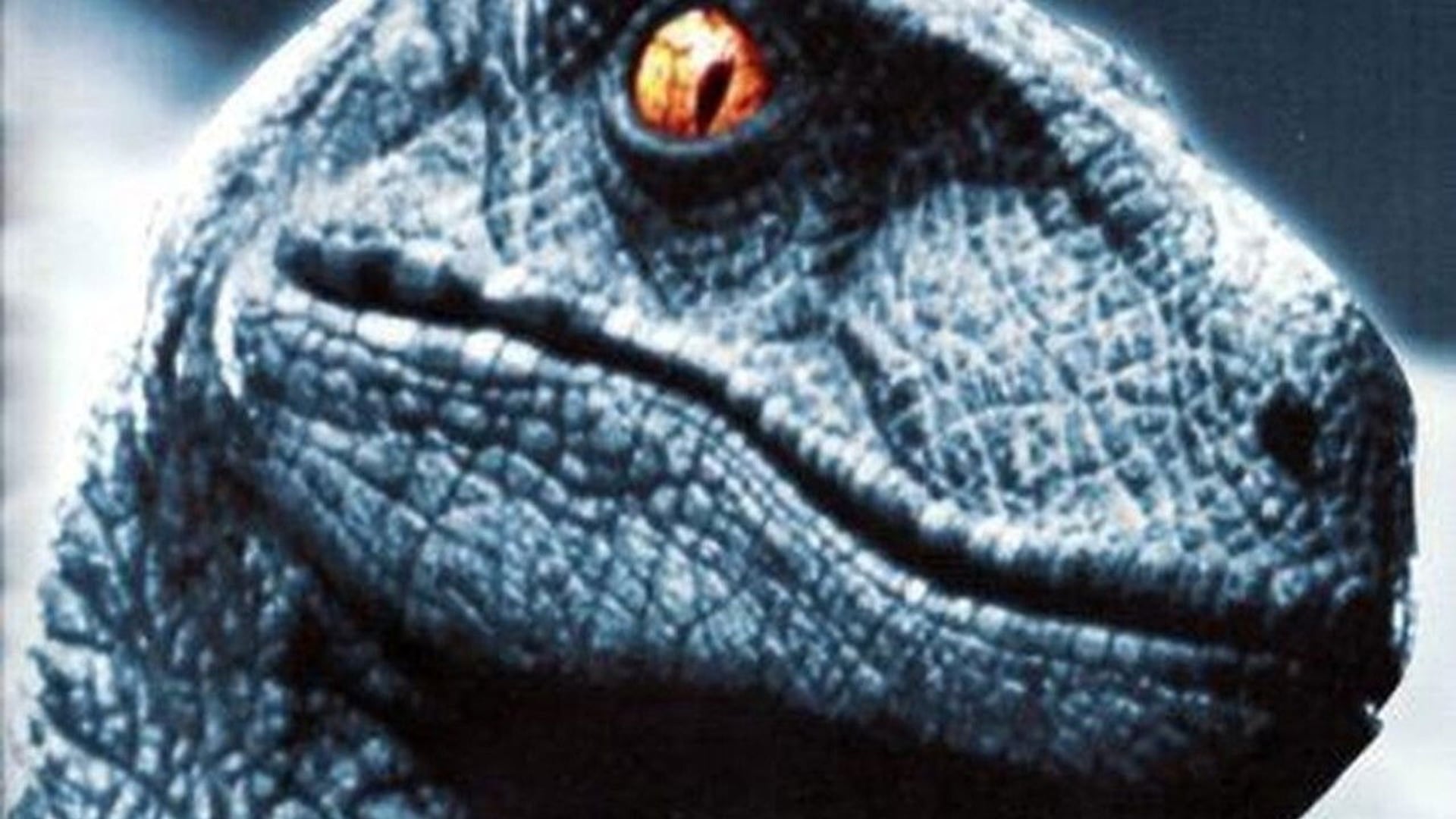 Foto do filme Raptor