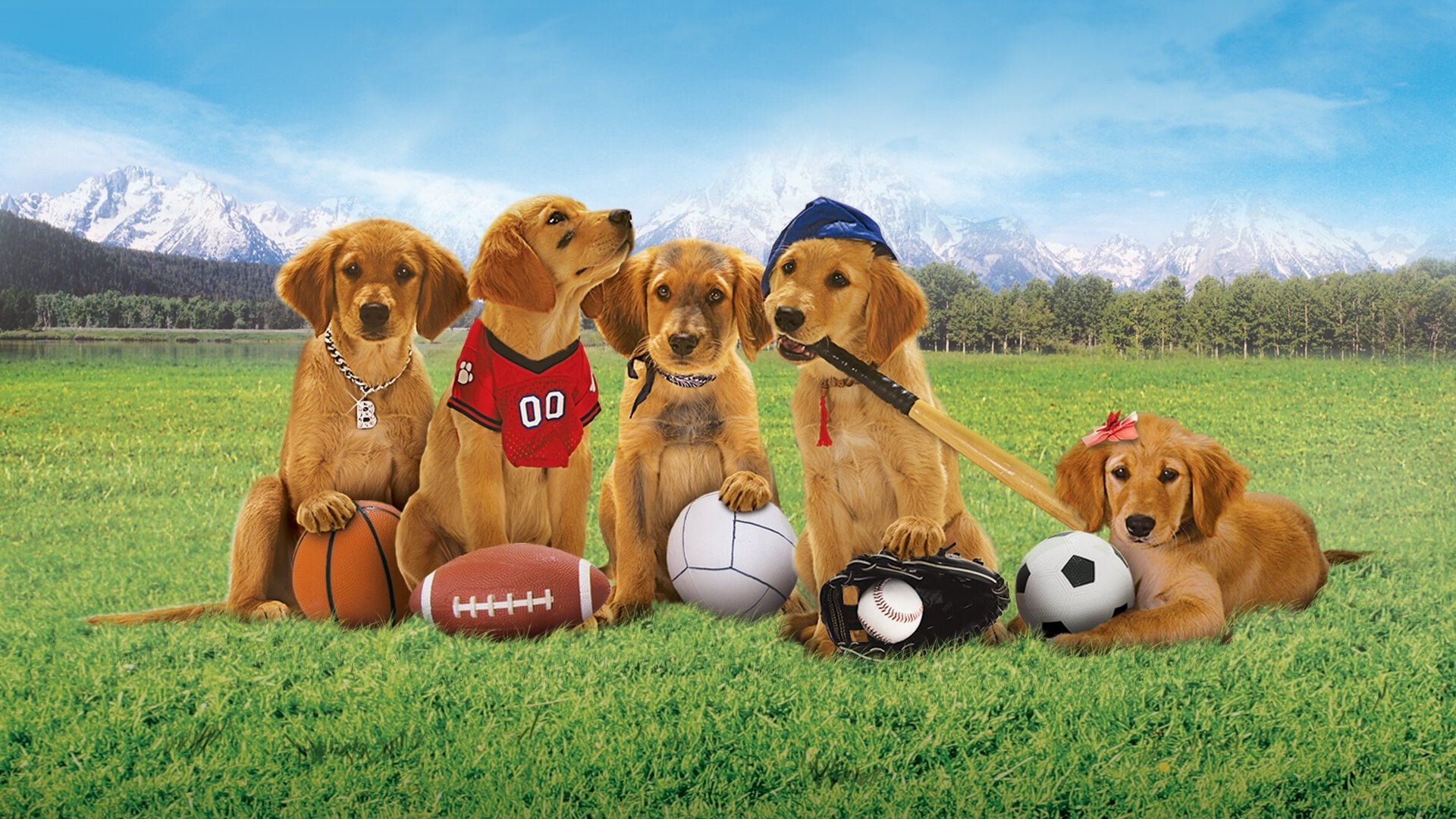 Foto do filme Bud: Uma Nova Cãofusão