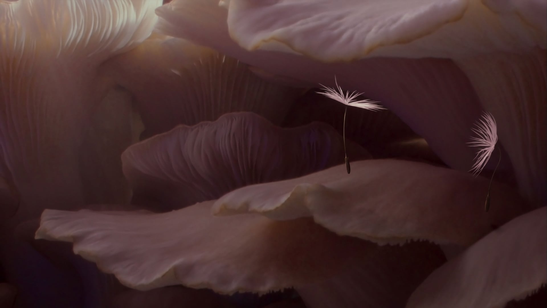 Foto do filme Planètes