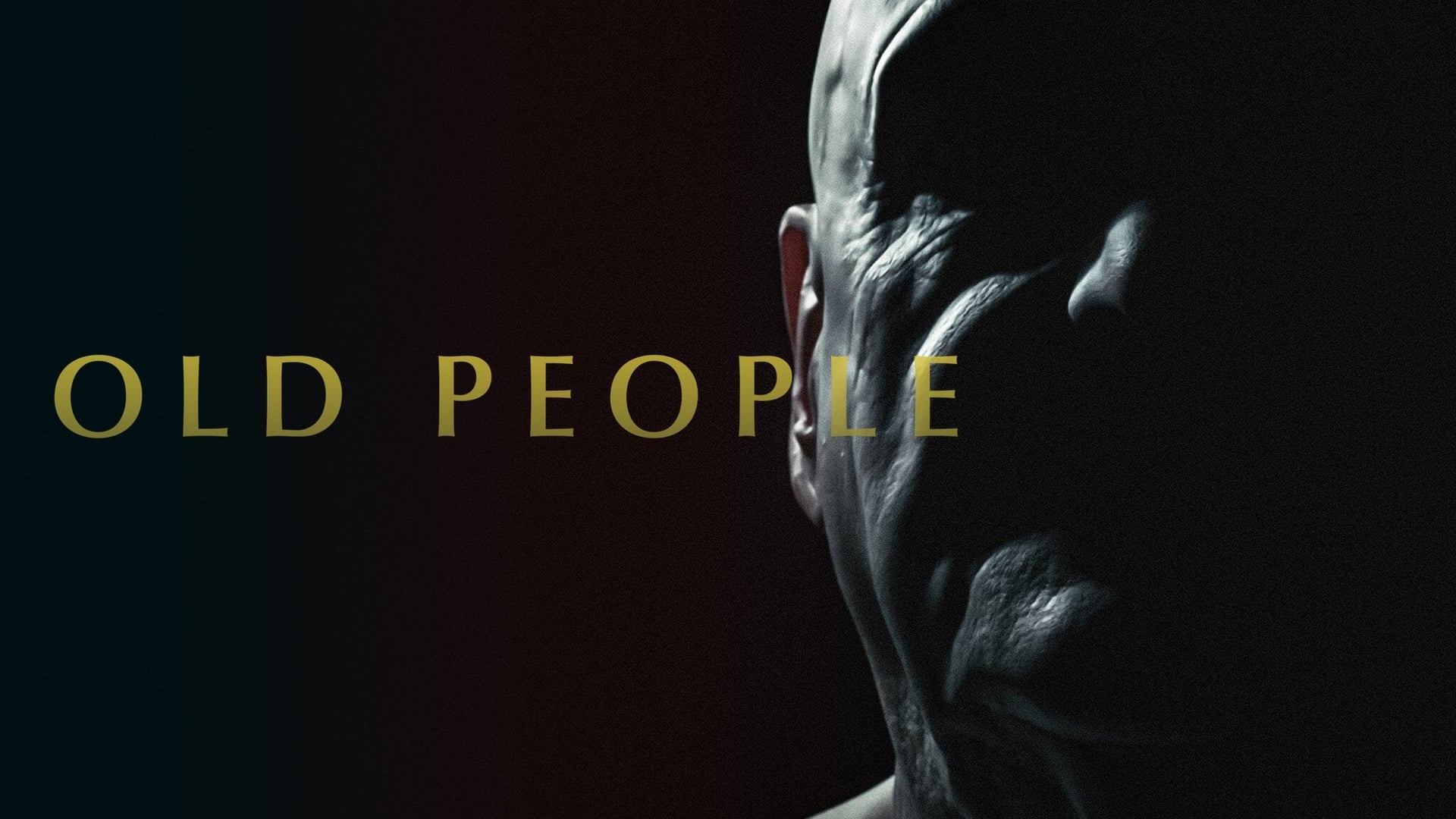 Foto do filme Lar dos Esquecidos