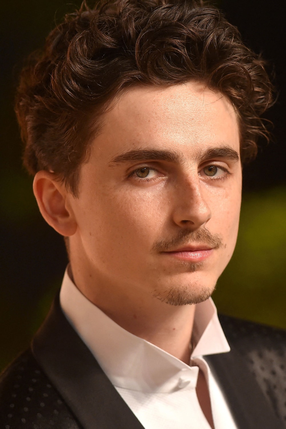 Foto de Timothée Chalamet