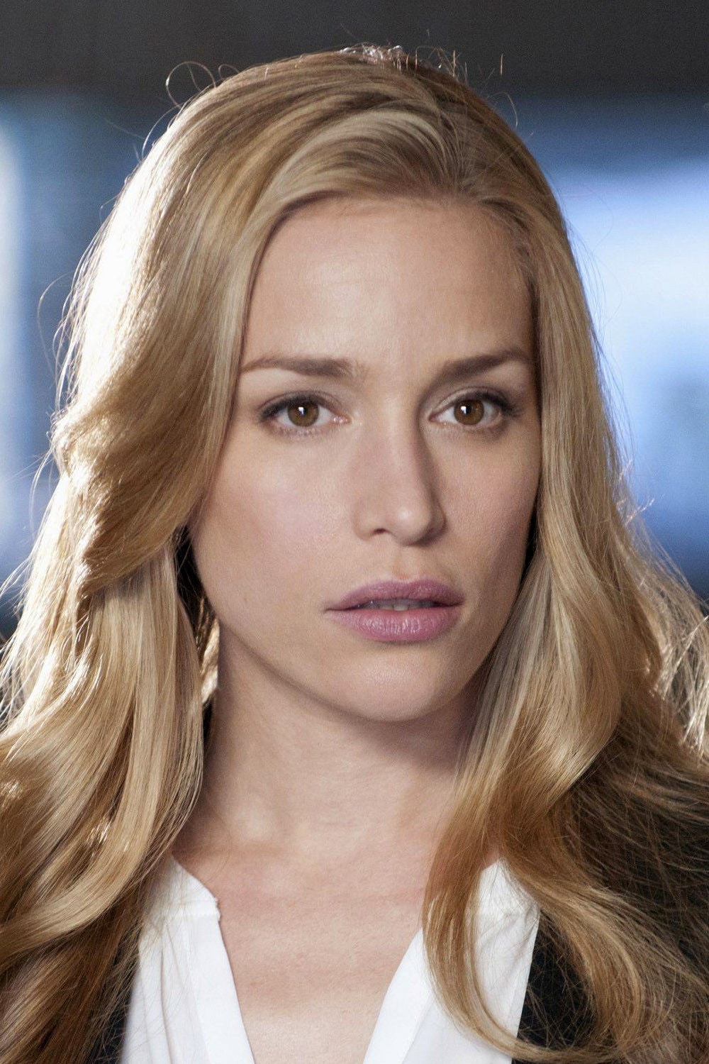 Foto de Piper Perabo