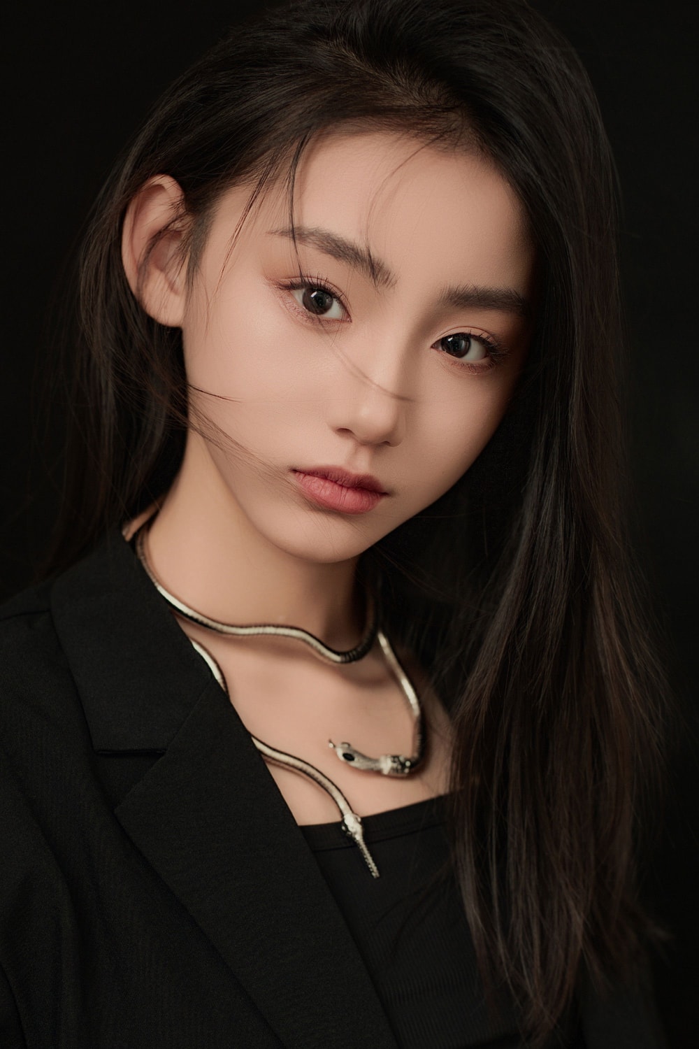 Liu Jiaxi