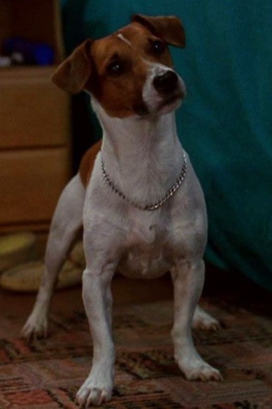 Max