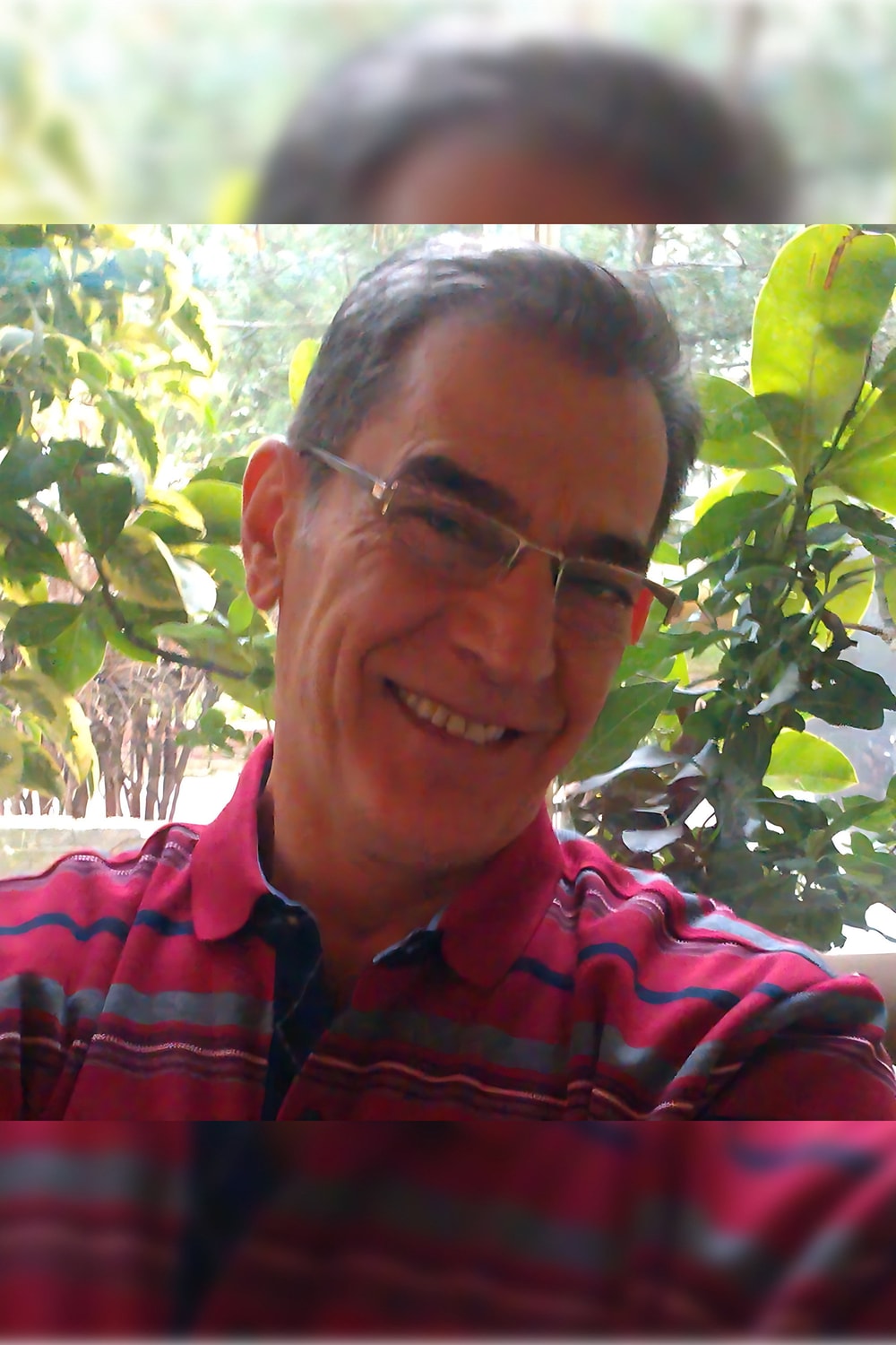 Seyfi Timur