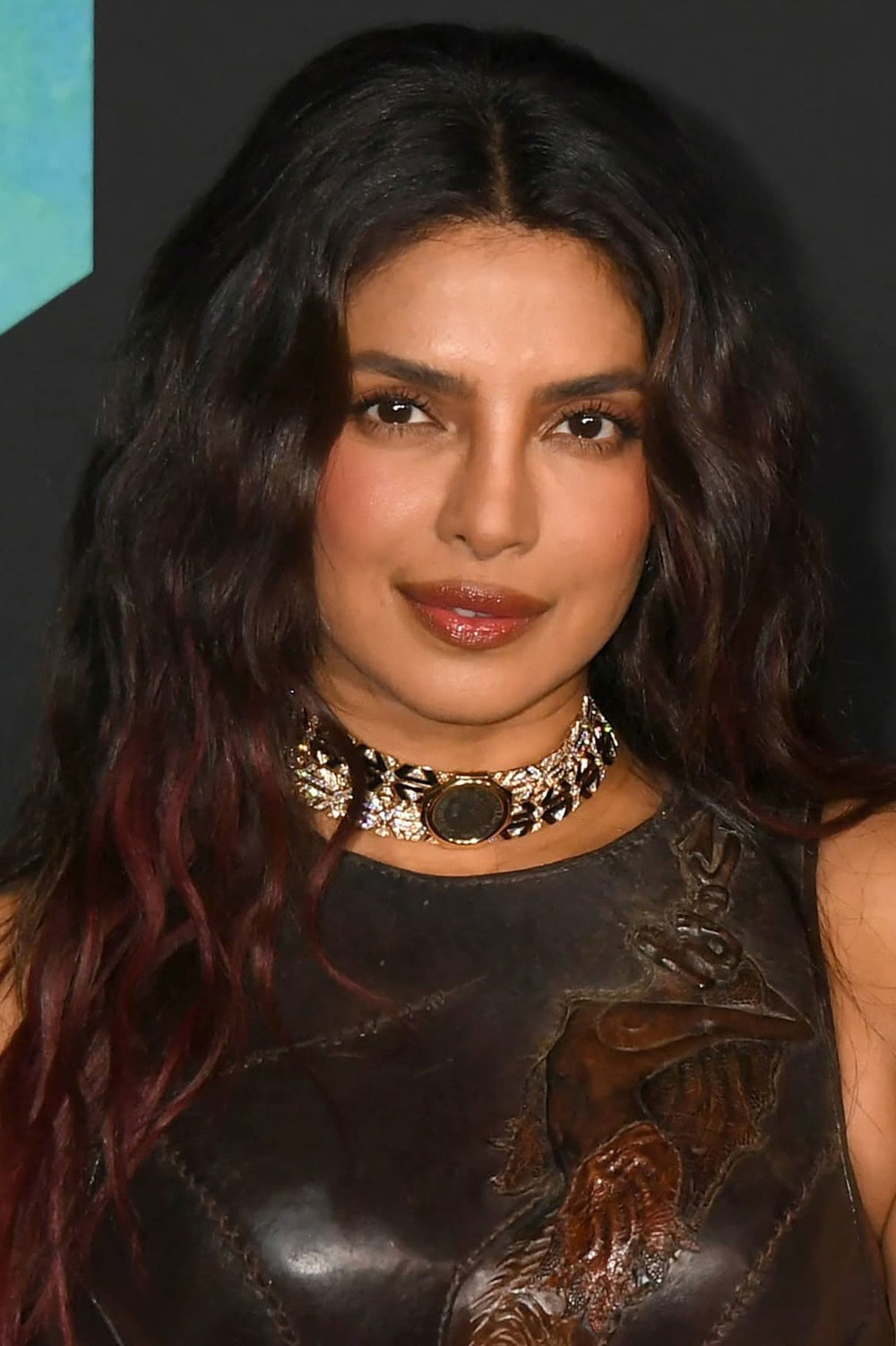 Foto de Priyanka Chopra Jonas