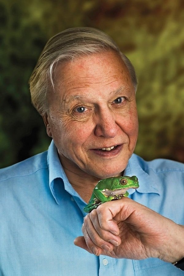 Foto de David Attenborough