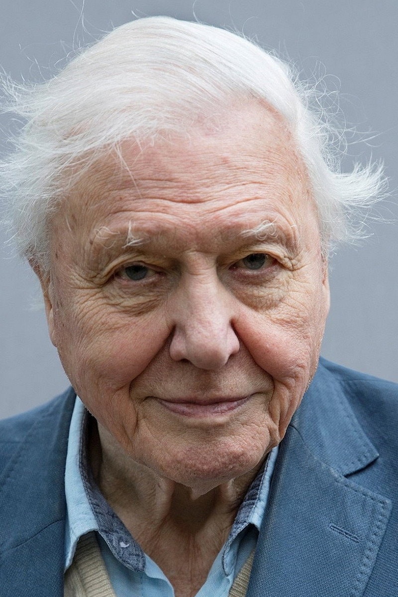 Foto de David Attenborough