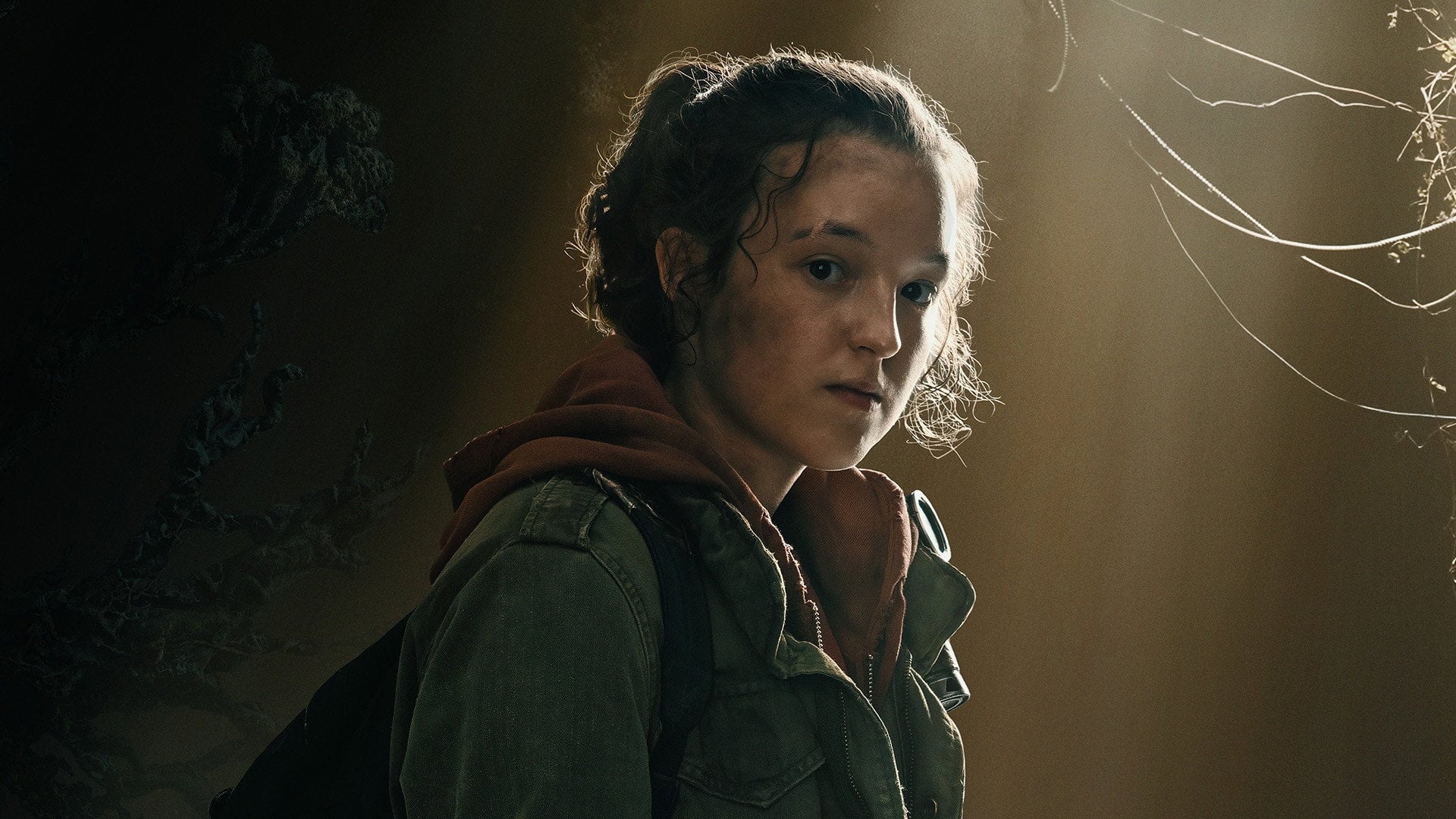 Foto do filme The Last of Us