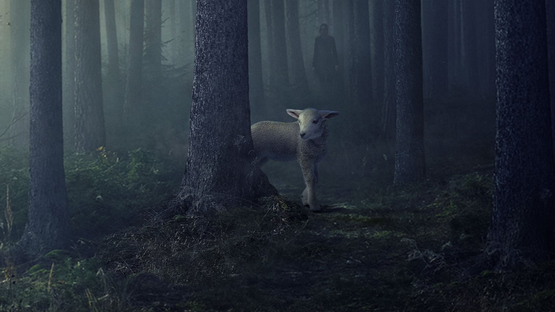 Foto do filme Clarice