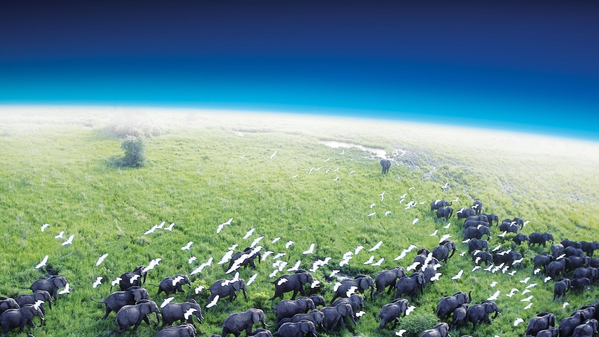 Foto do filme Planeta Terra
