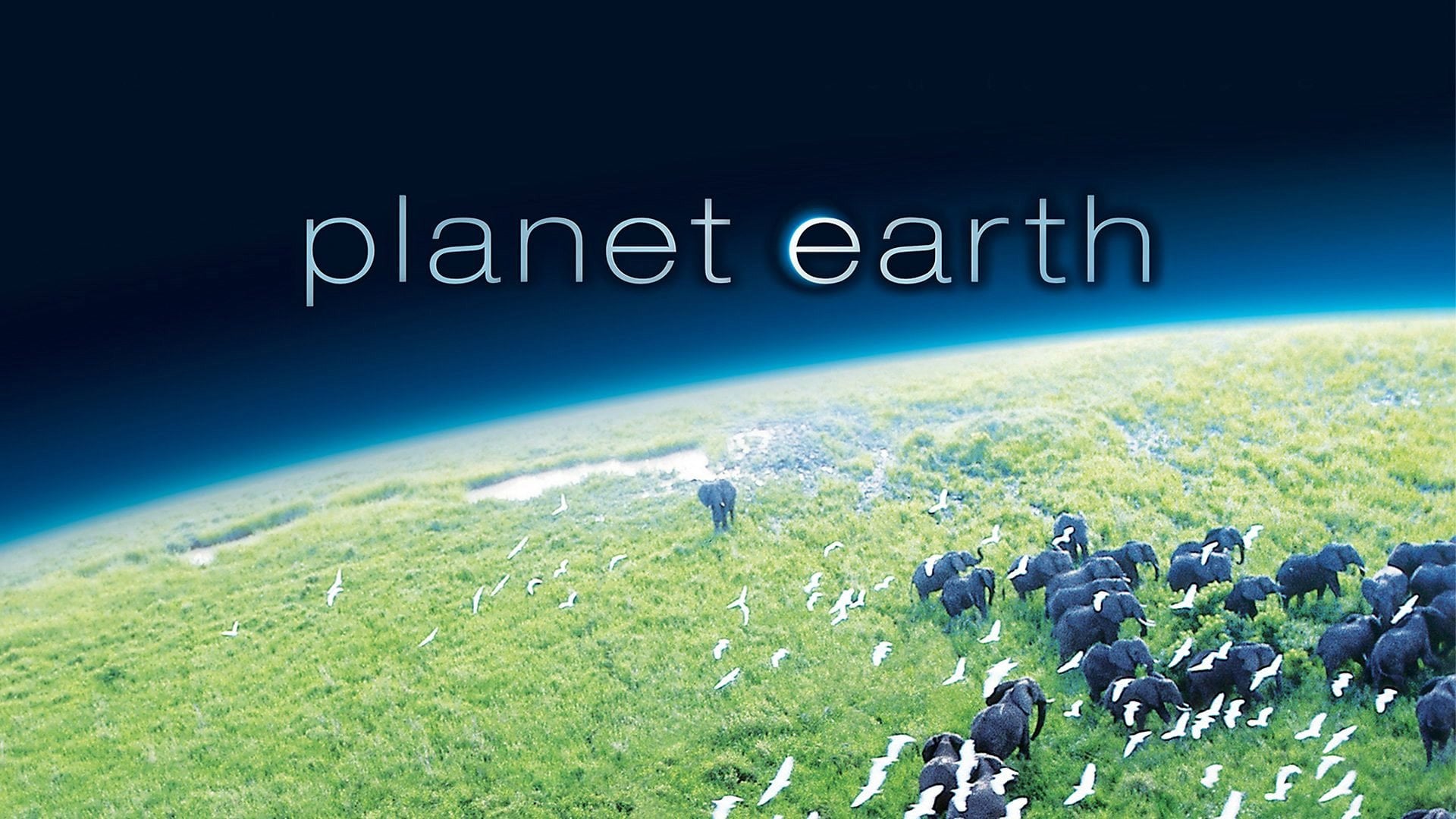 Foto do filme Planeta Terra