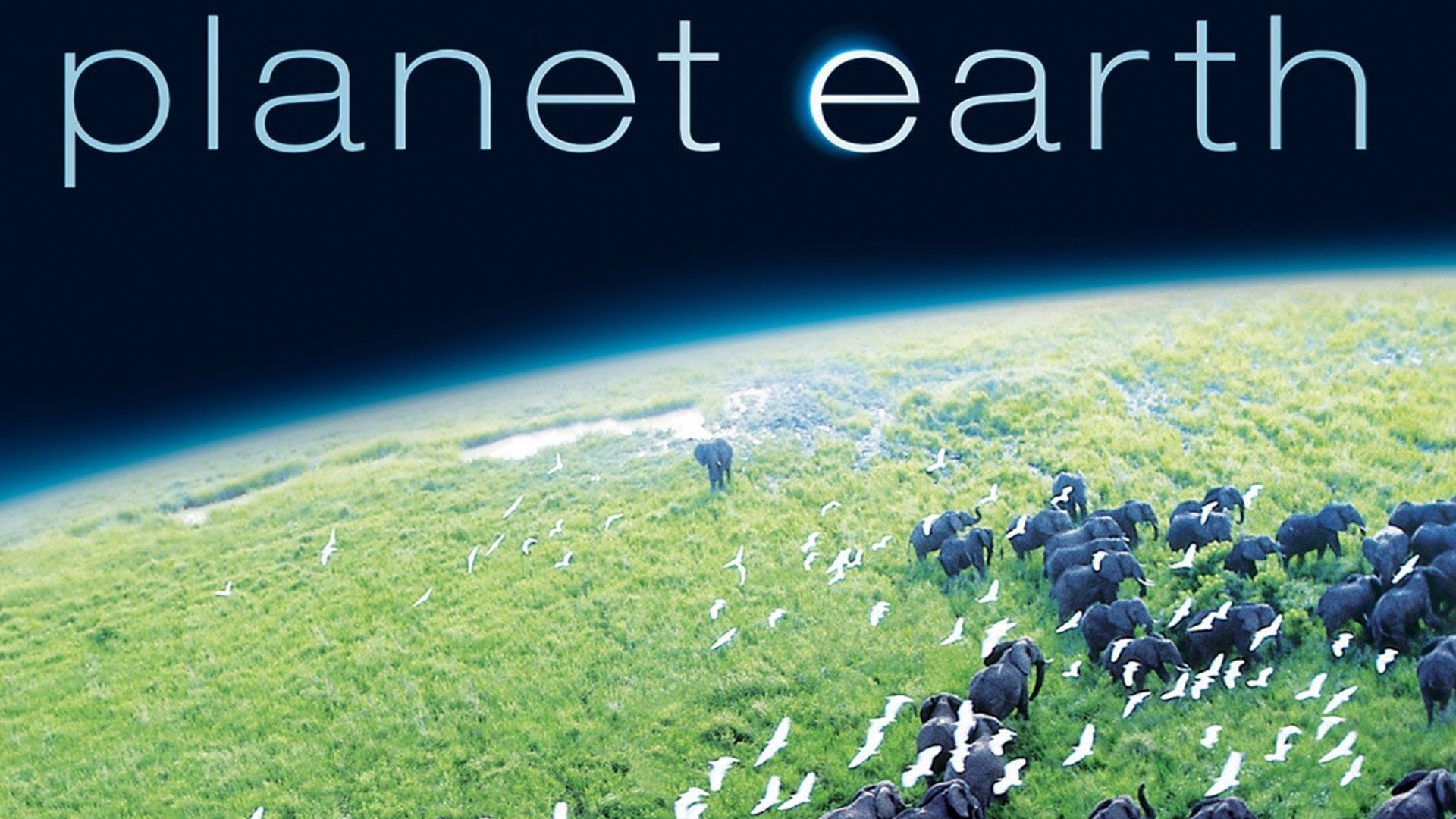Foto do filme Planeta Terra