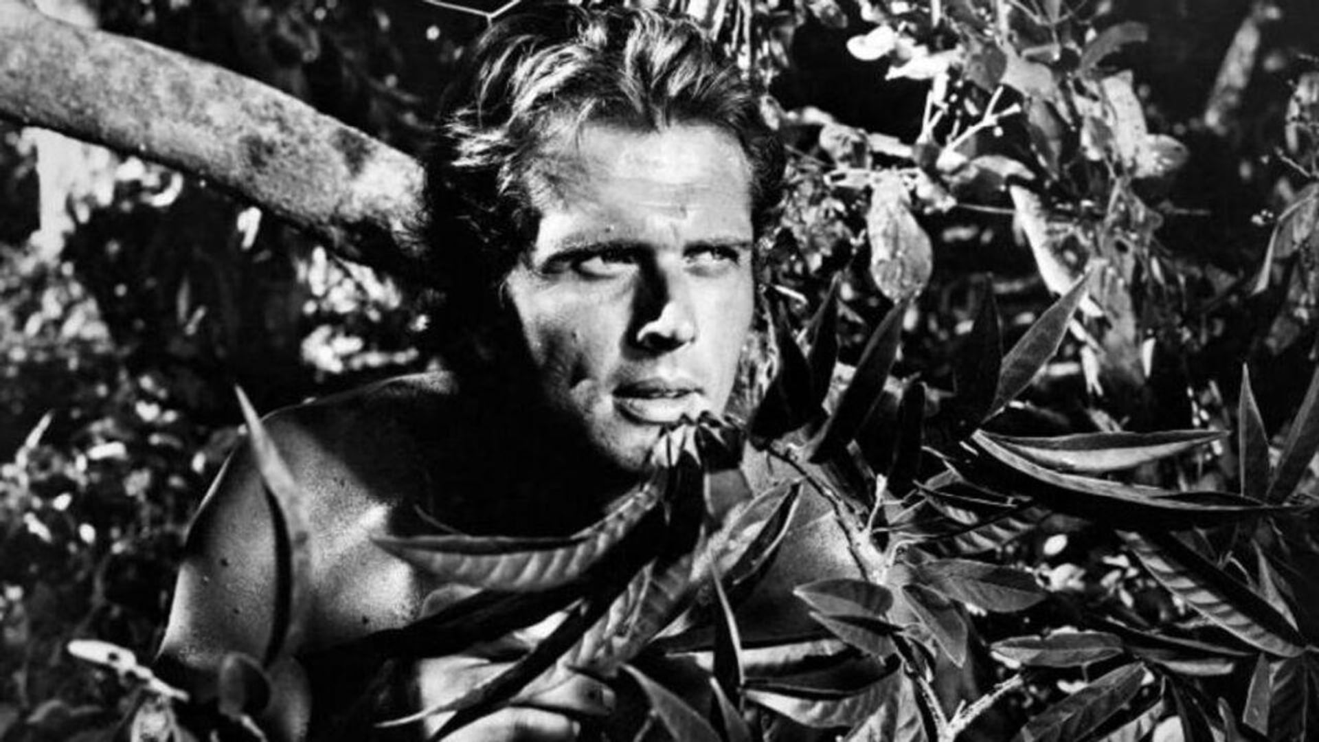Foto do filme Tarzan
