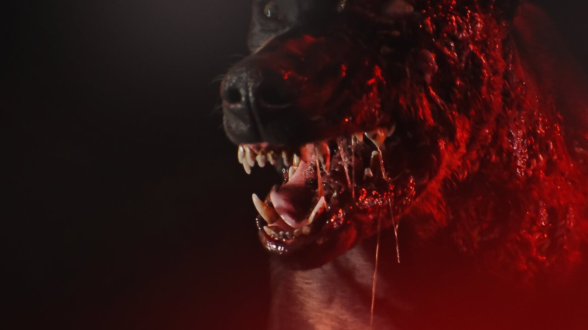 Foto do filme Resident Evil: A Série