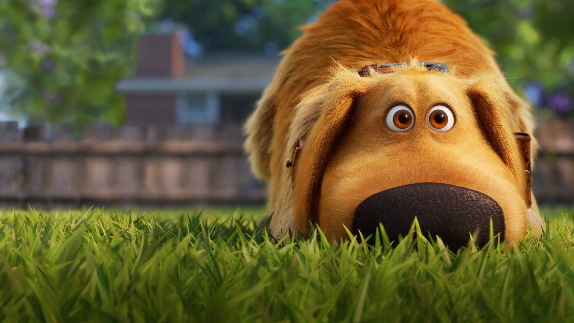 Foto do filme A Vida de Dug