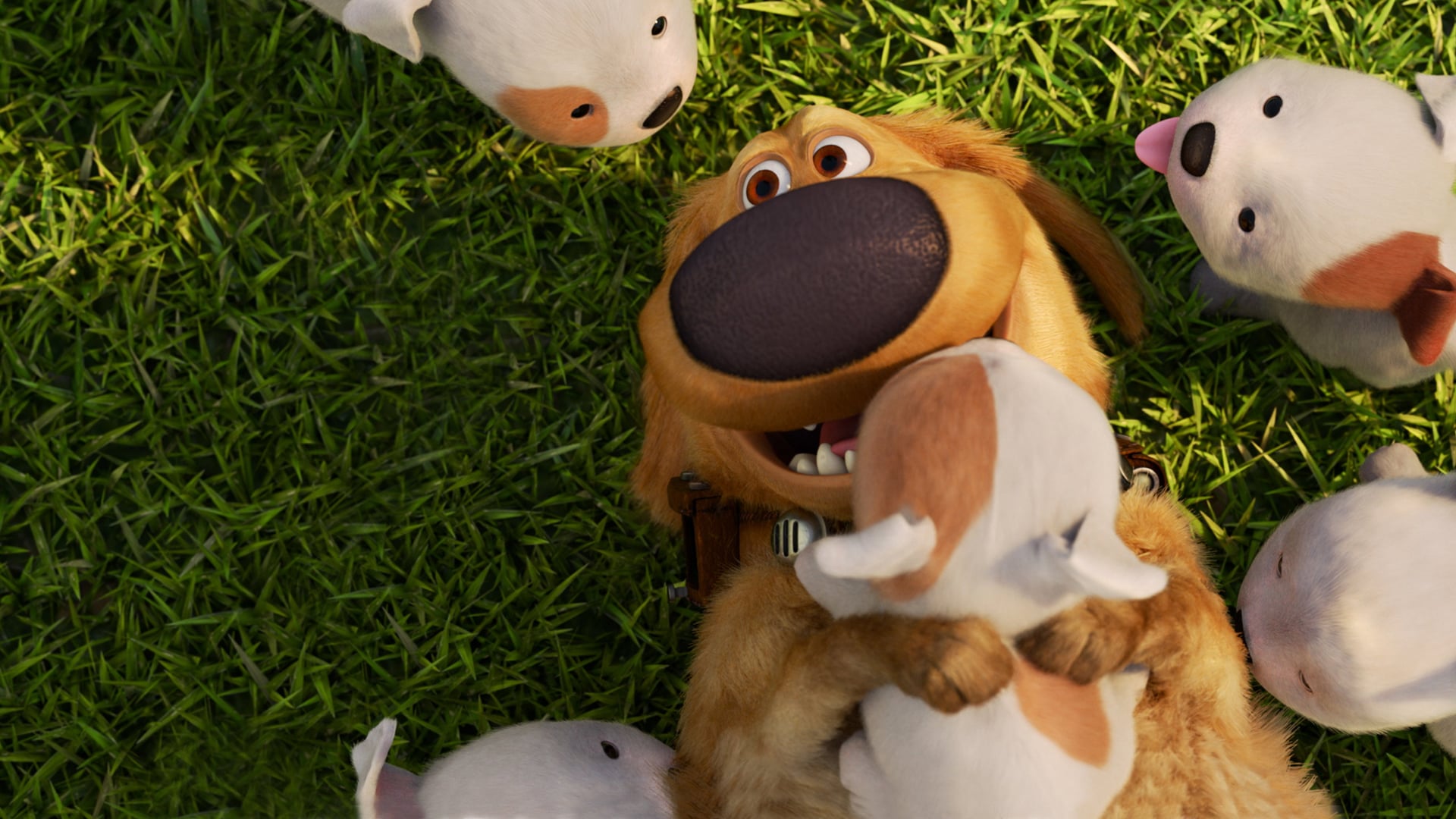 Foto do filme A Vida de Dug