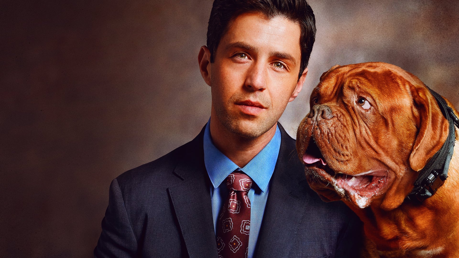 Foto do filme Turner e Hooch
