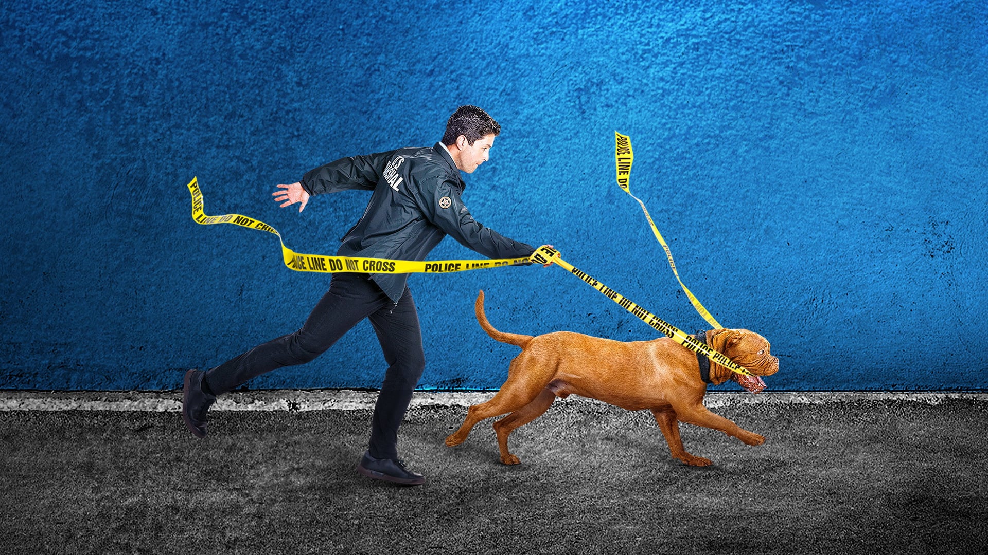 Foto do filme Turner e Hooch