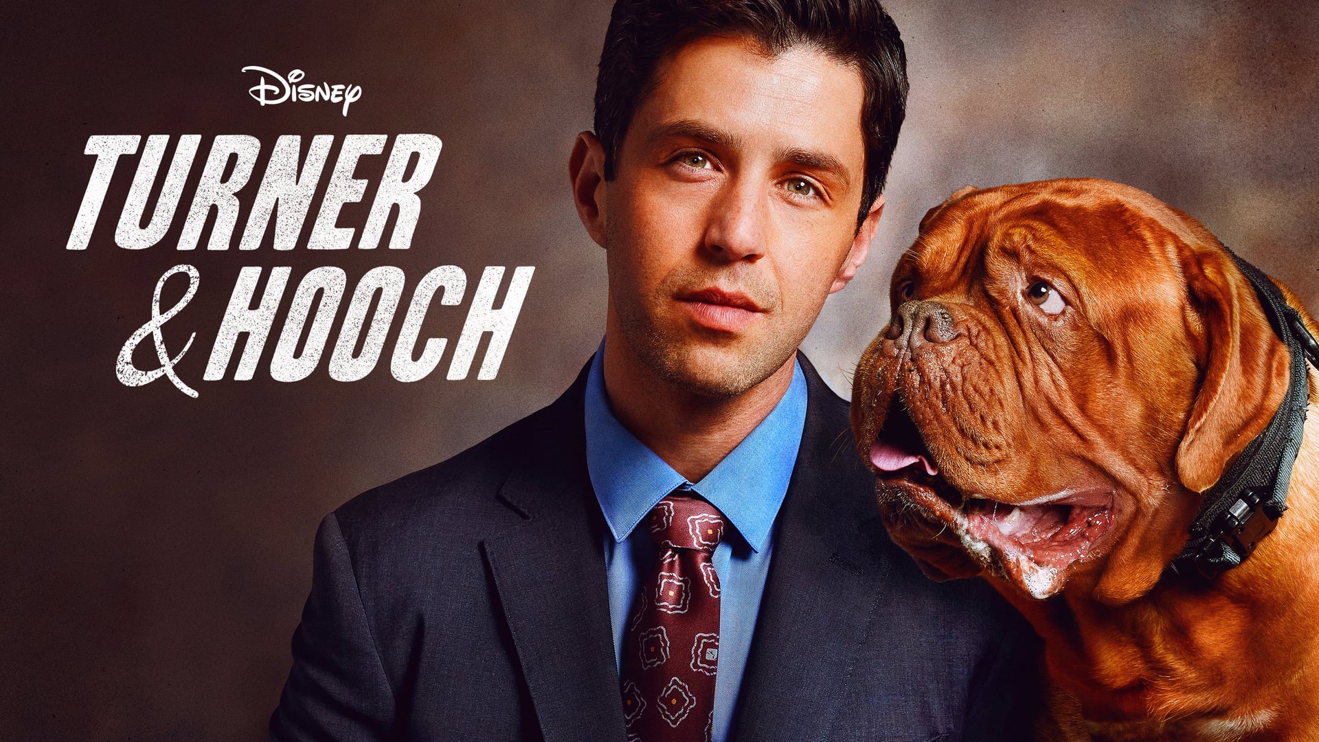 Foto do filme Turner e Hooch
