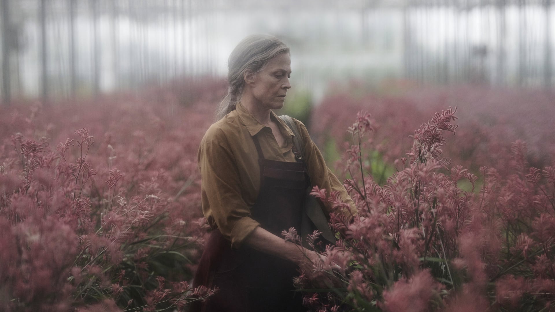 Foto do filme As Flores Perdidas de Alice Hart