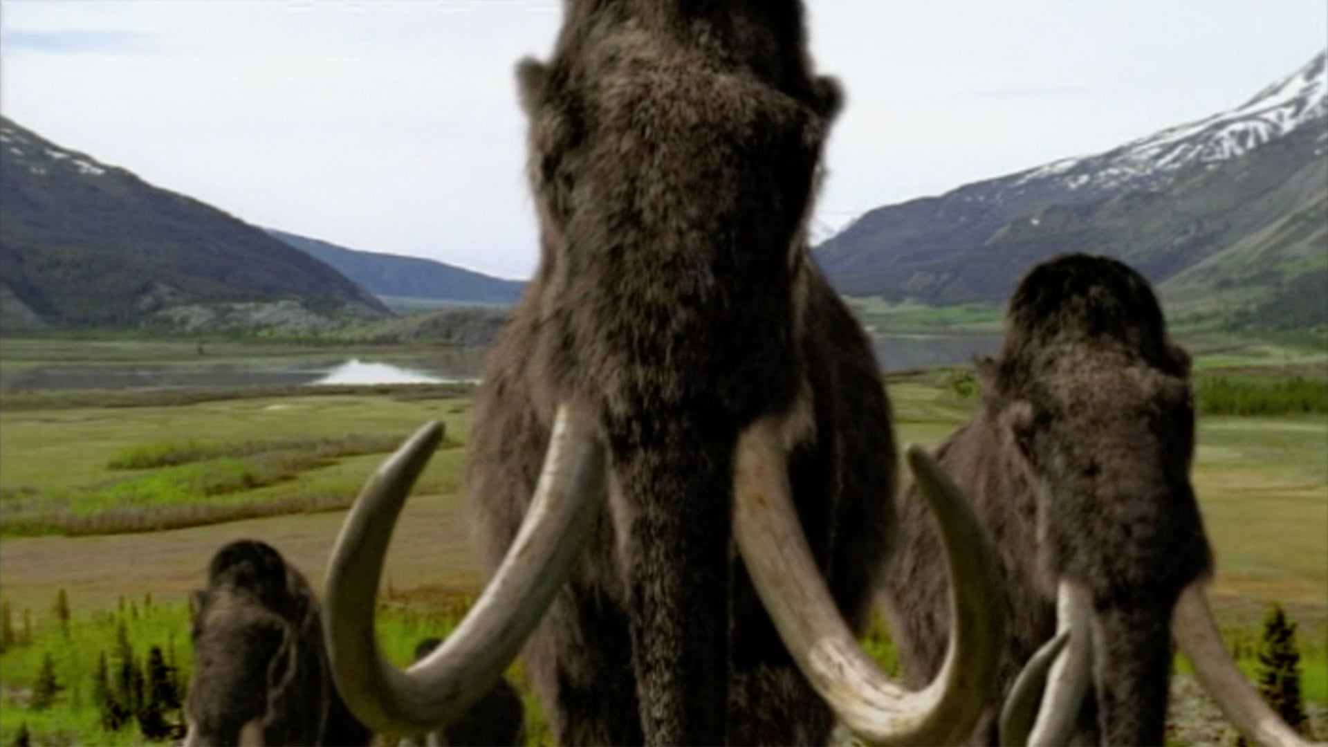 Foto do filme Walking with Beasts