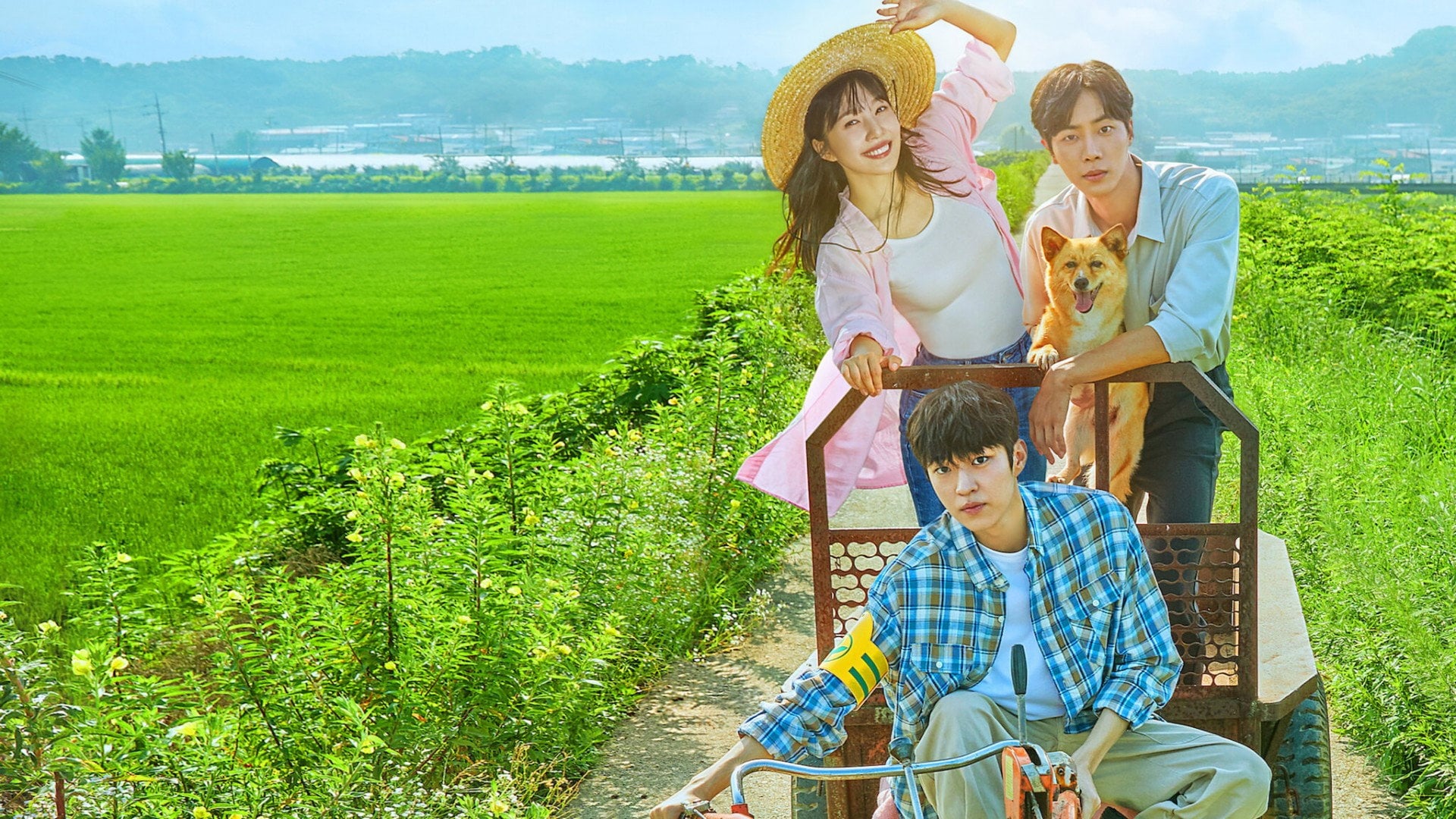 Foto do filme Amor Rural