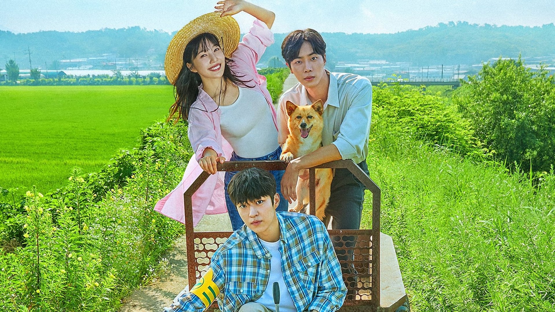 Foto do filme Amor Rural