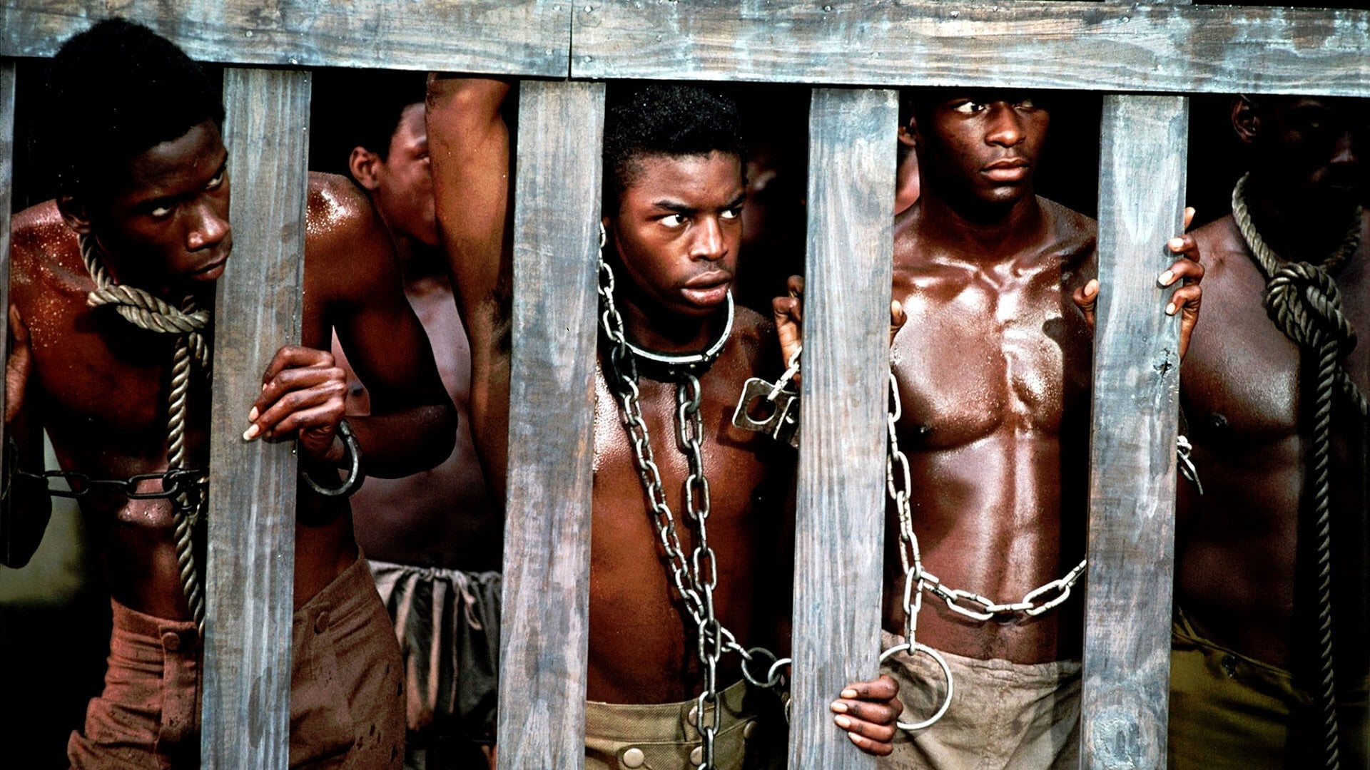 Foto do filme Raízes