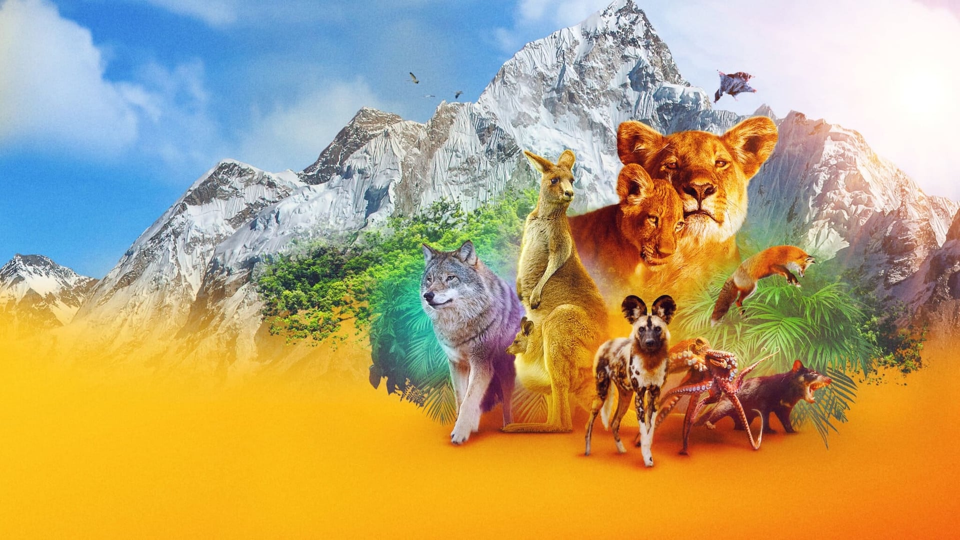 Foto do filme A Beleza Secreta dos Animais