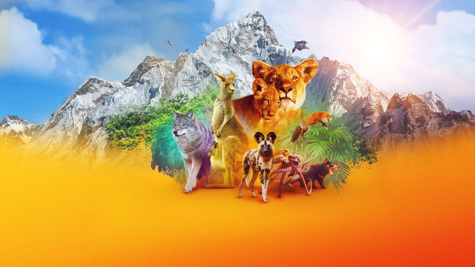 Foto do filme A Beleza Secreta dos Animais