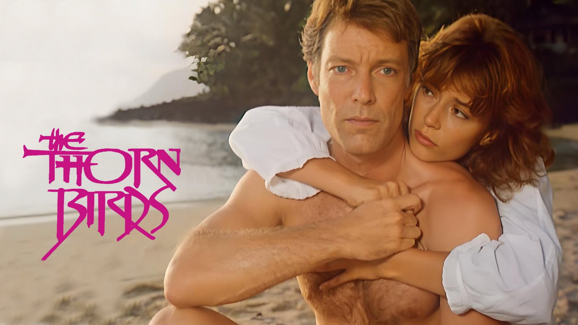 Foto do filme Os Pássaros Feridos