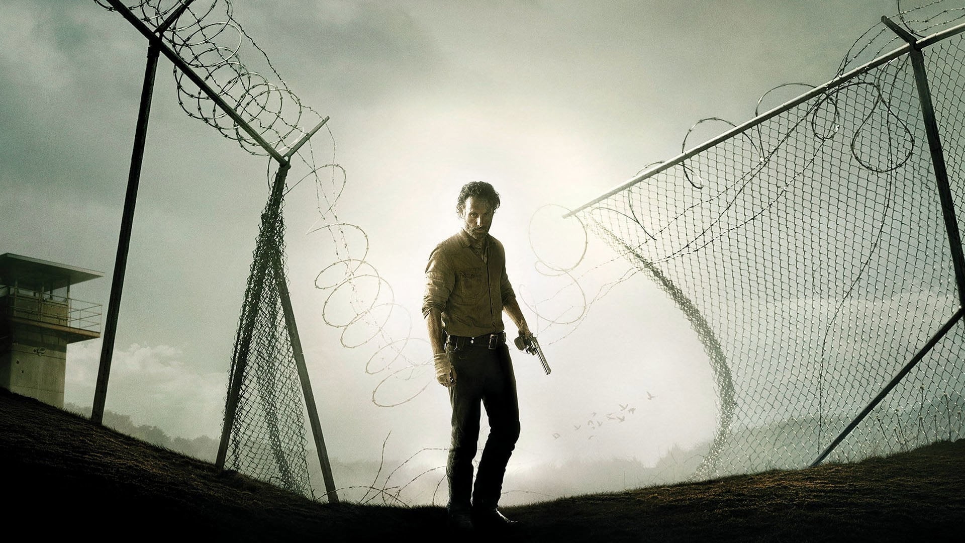 Foto do filme The Walking Dead